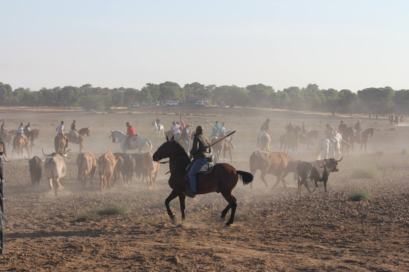 Fotos: Primer encierro de las Fiestas de Medina del Campo (2/2)