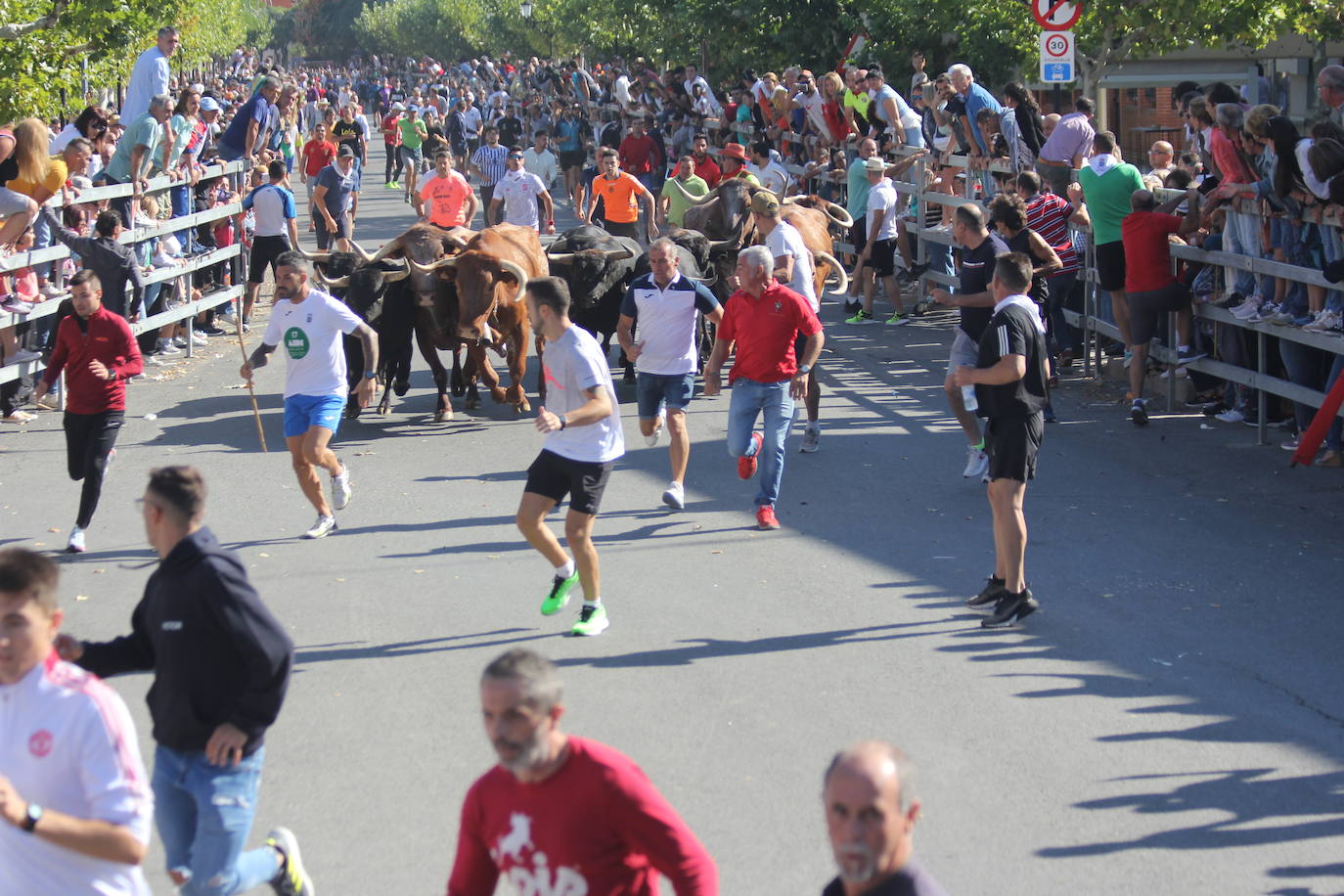 Fotos: Primer encierro de las Fiestas de Medina del Campo (2/2)