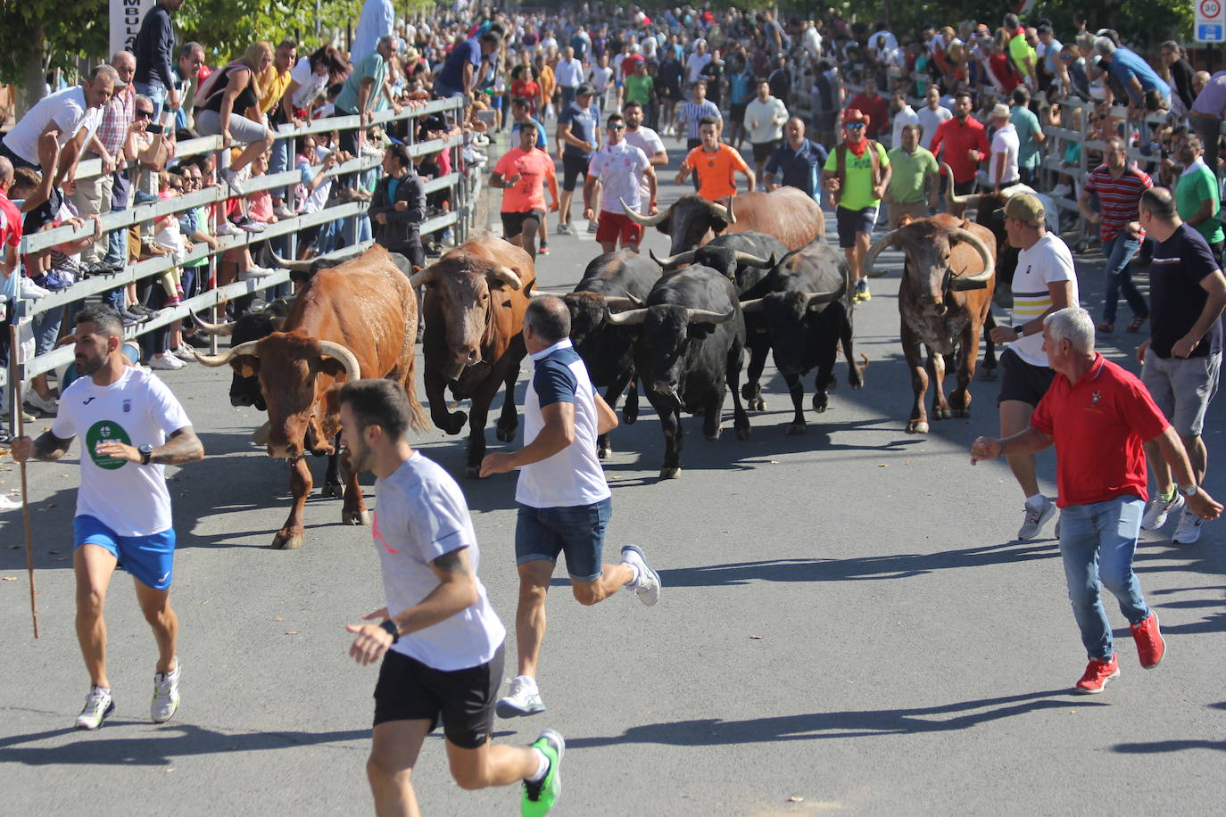 Fotos: Primer encierro de las Fiestas de Medina del Campo (2/2)