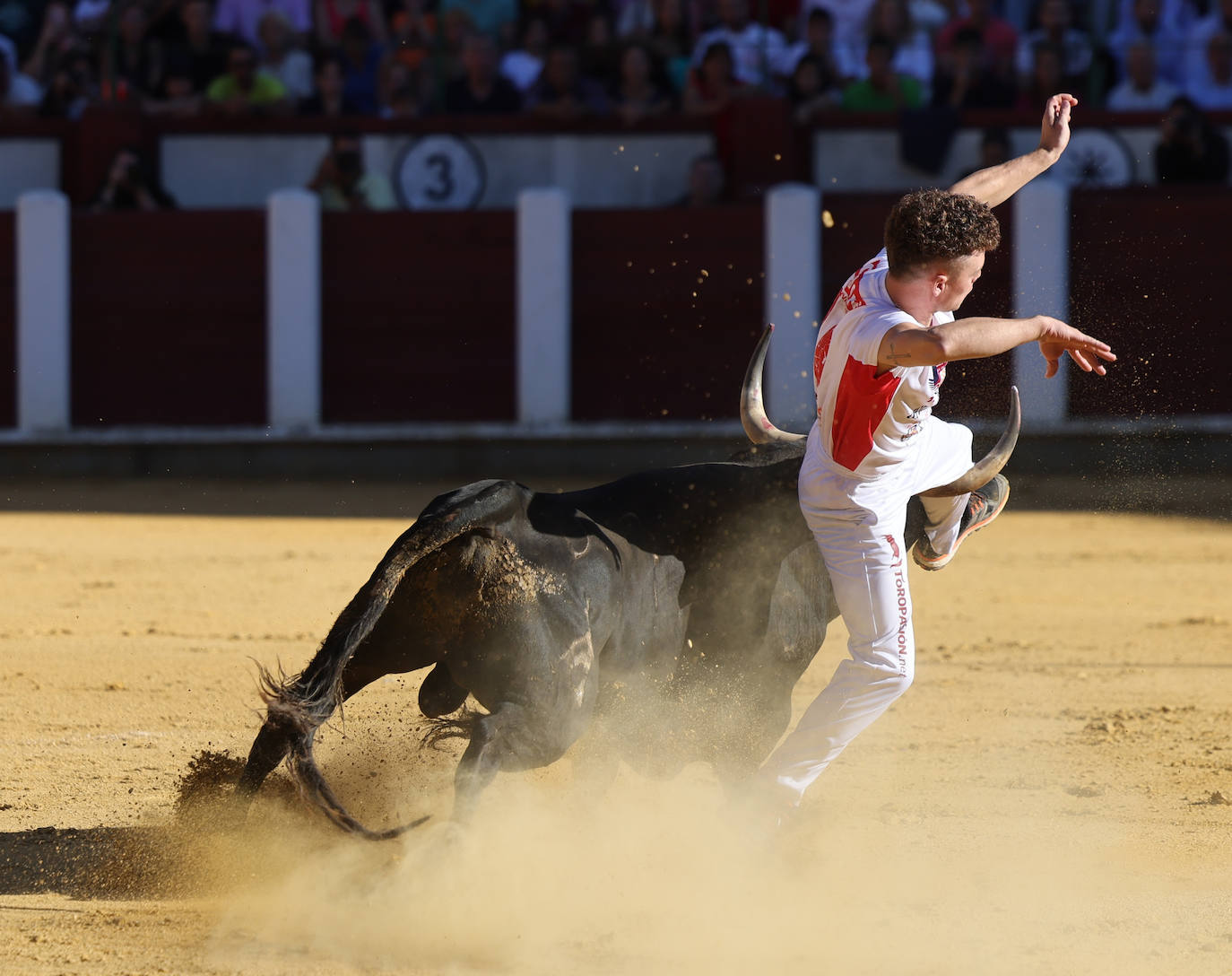 Fotos: La final de Corte Puro, en la plaza de toros de Valladolid