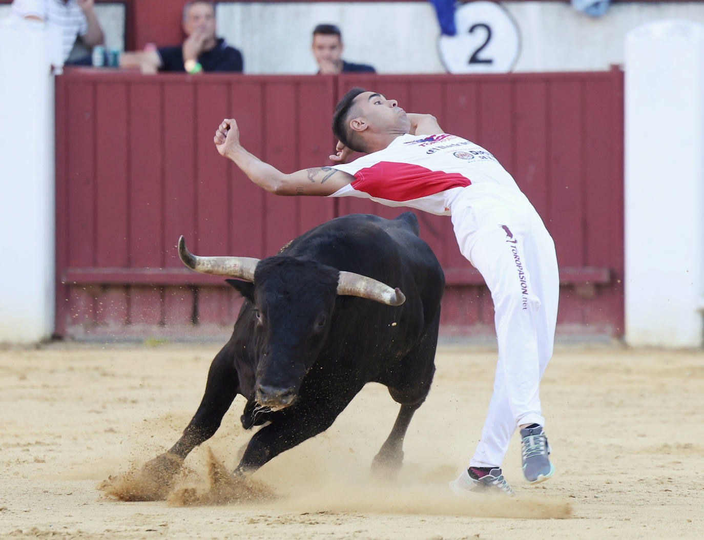 Fotos: La final de Corte Puro, en la plaza de toros de Valladolid