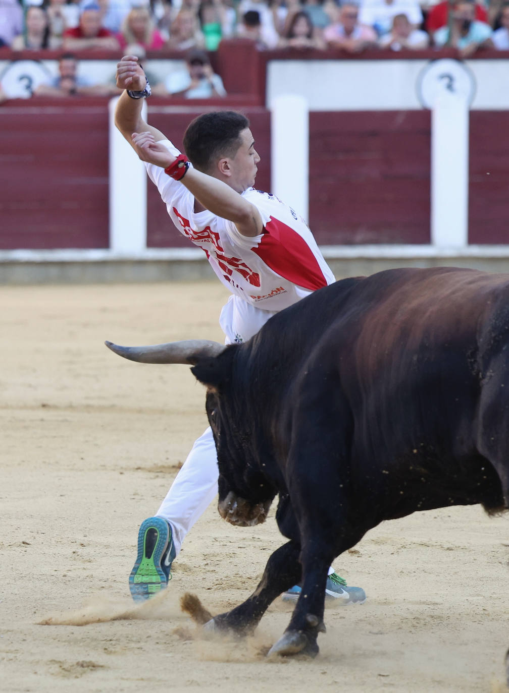 Fotos: La final de Corte Puro, en la plaza de toros de Valladolid