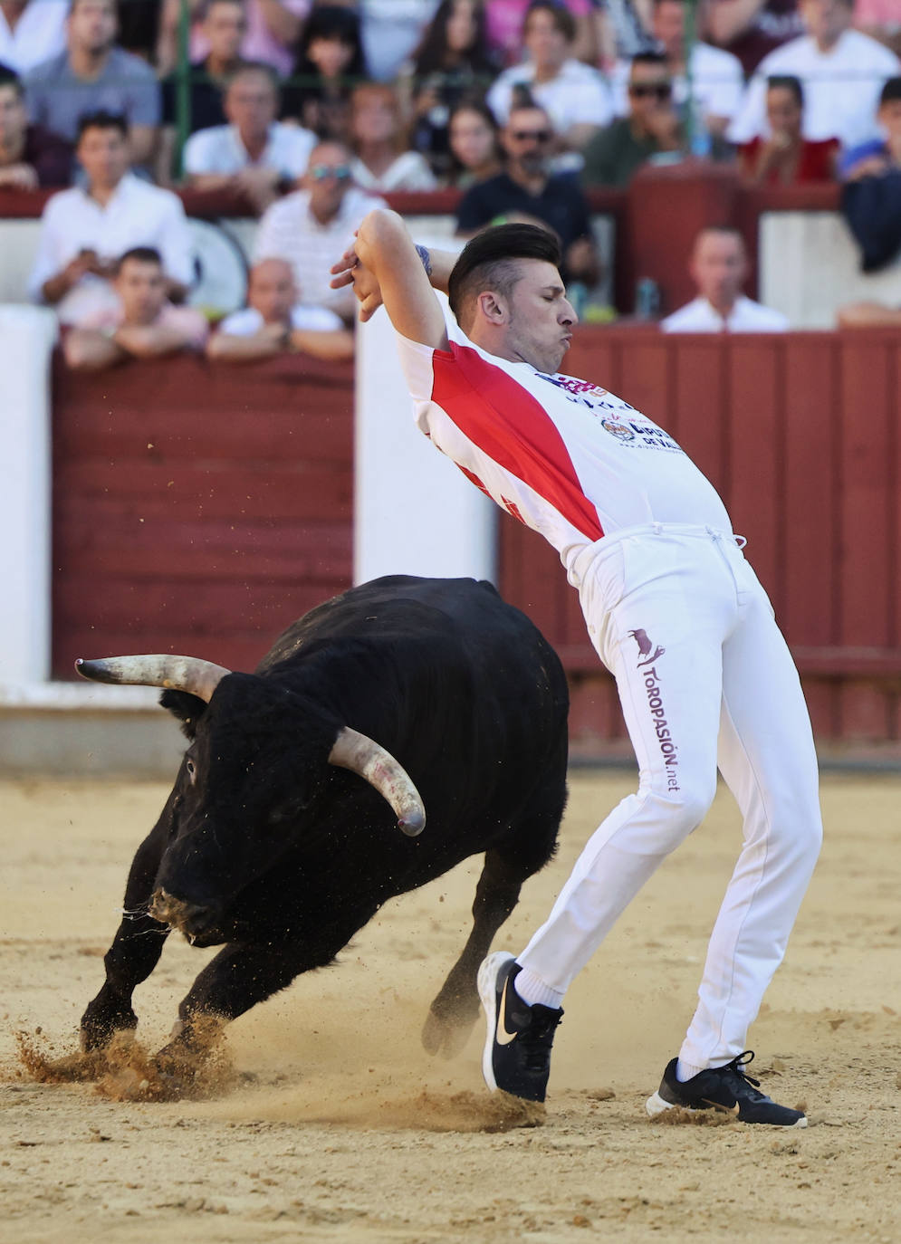 Fotos: La final de Corte Puro, en la plaza de toros de Valladolid