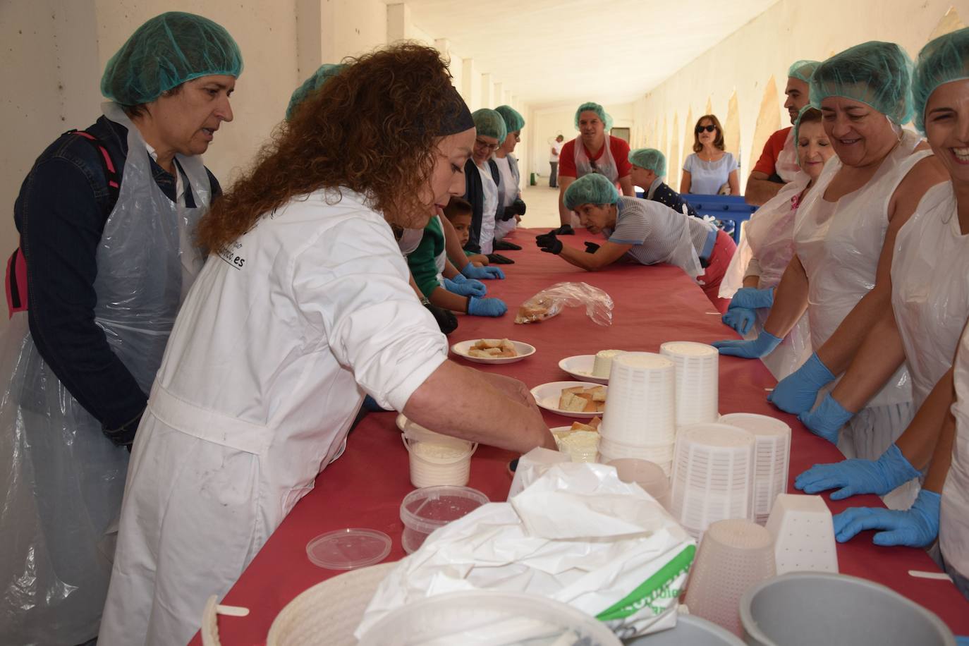Fotos: Romería del Cristo en Guardo