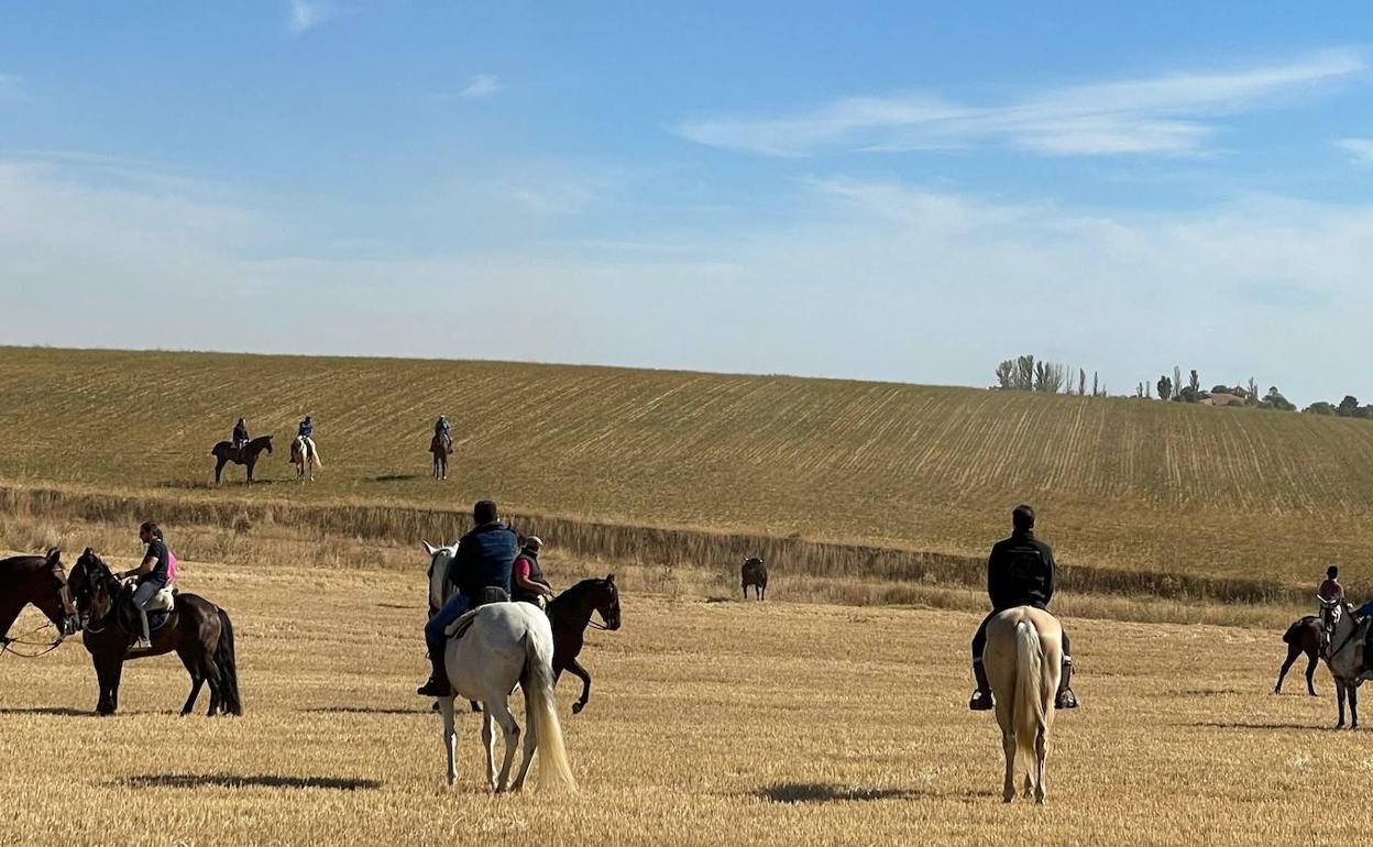 Un momento del encierro celebrado ayer. 