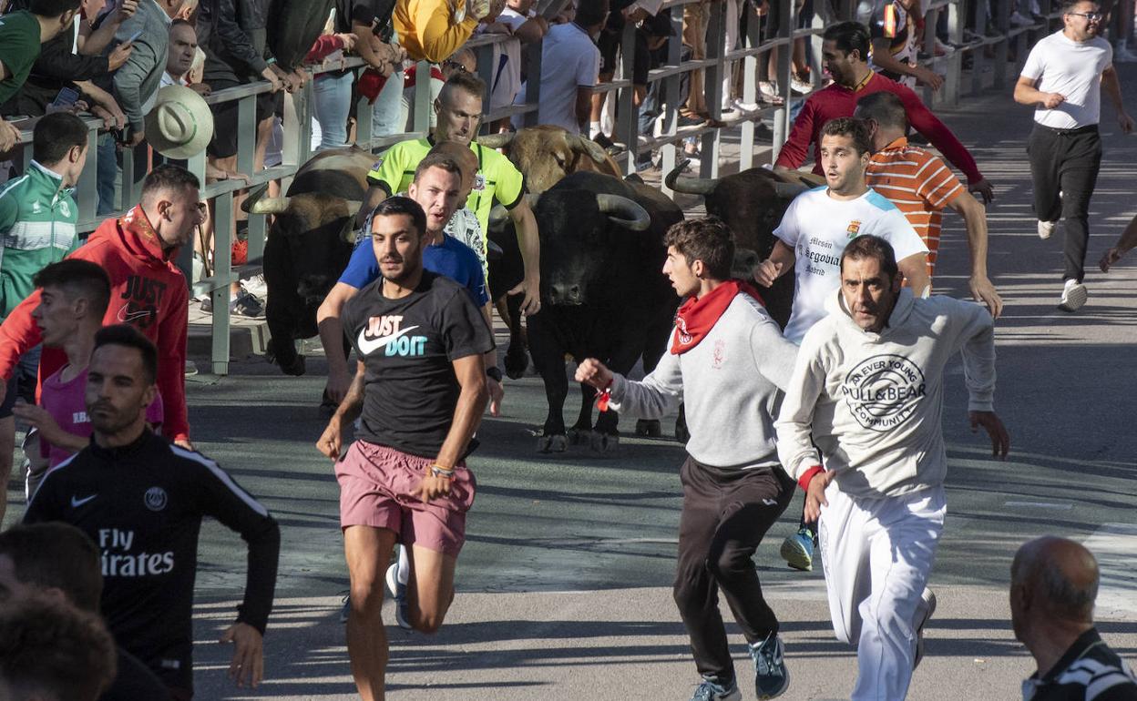 Encierro por las calles de Cuéllar con los astados de la ganadería Alcurrucén.