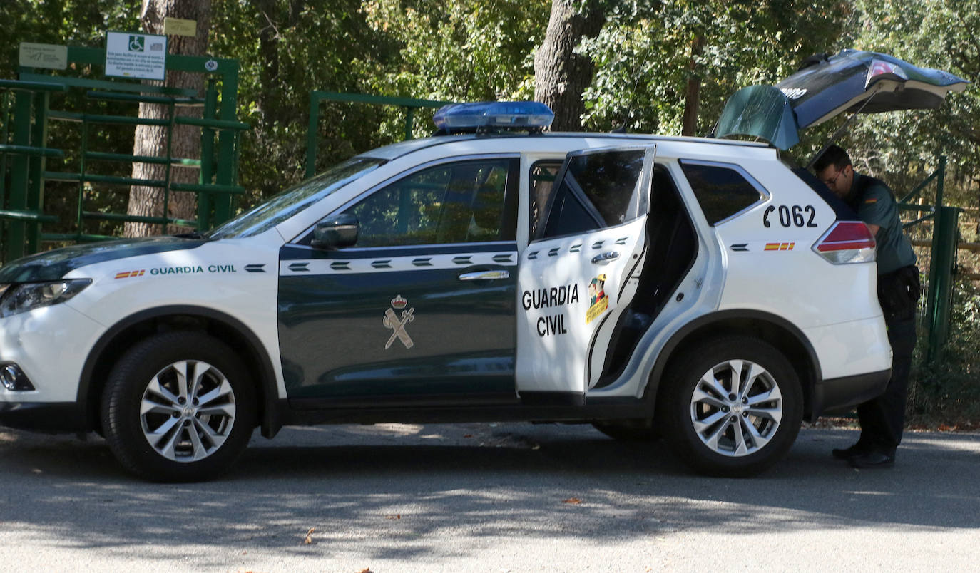 Búsqueda del toro desaparecido en los encierros de Valsaín