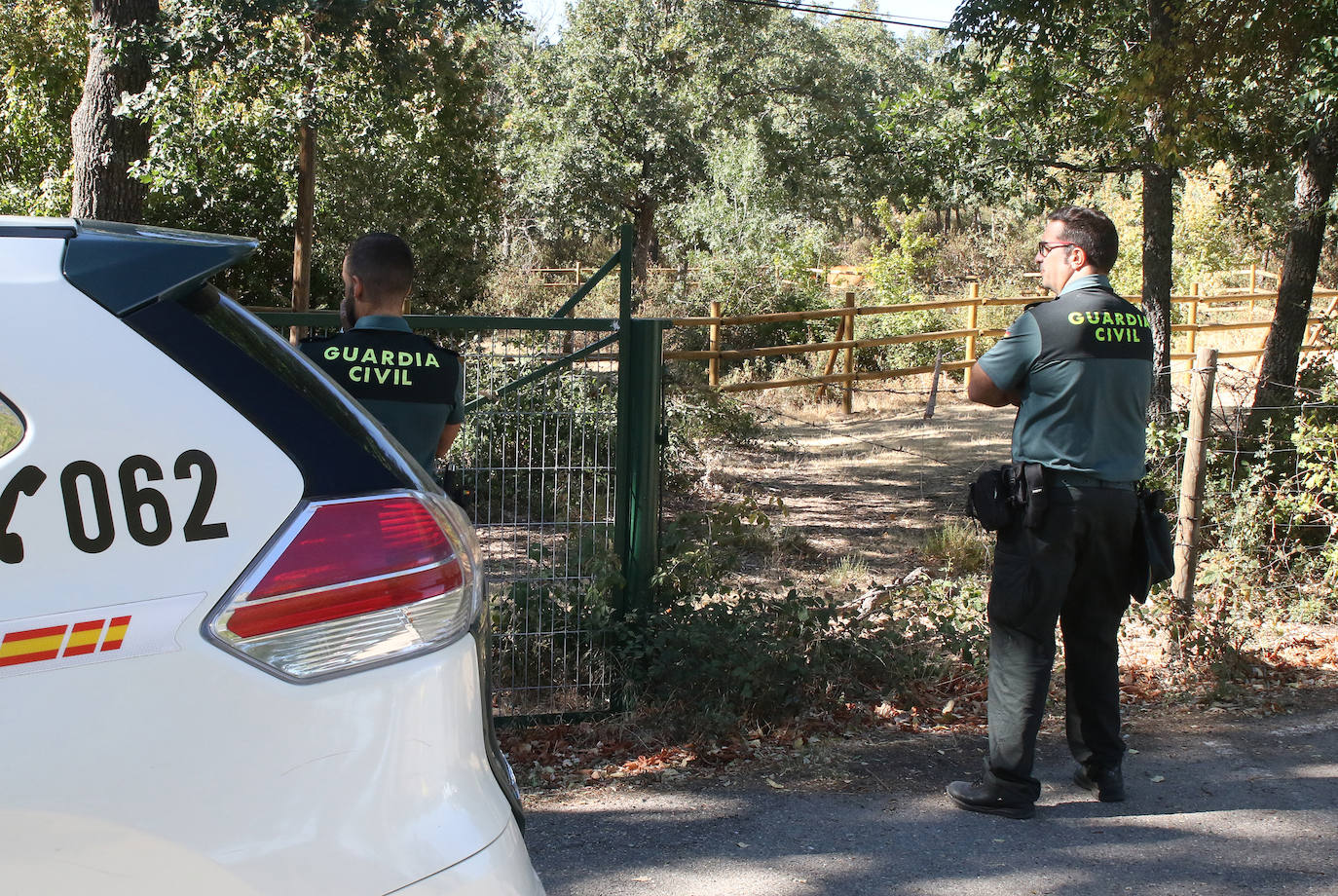 Búsqueda del toro desaparecido en los encierros de Valsaín