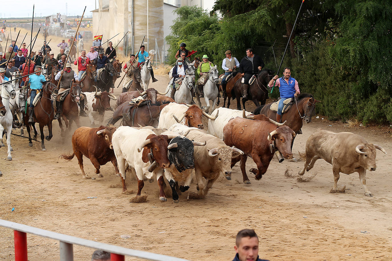 Fotos: Tercer encierro en las fiestas de San Antolín de Medina del Campo