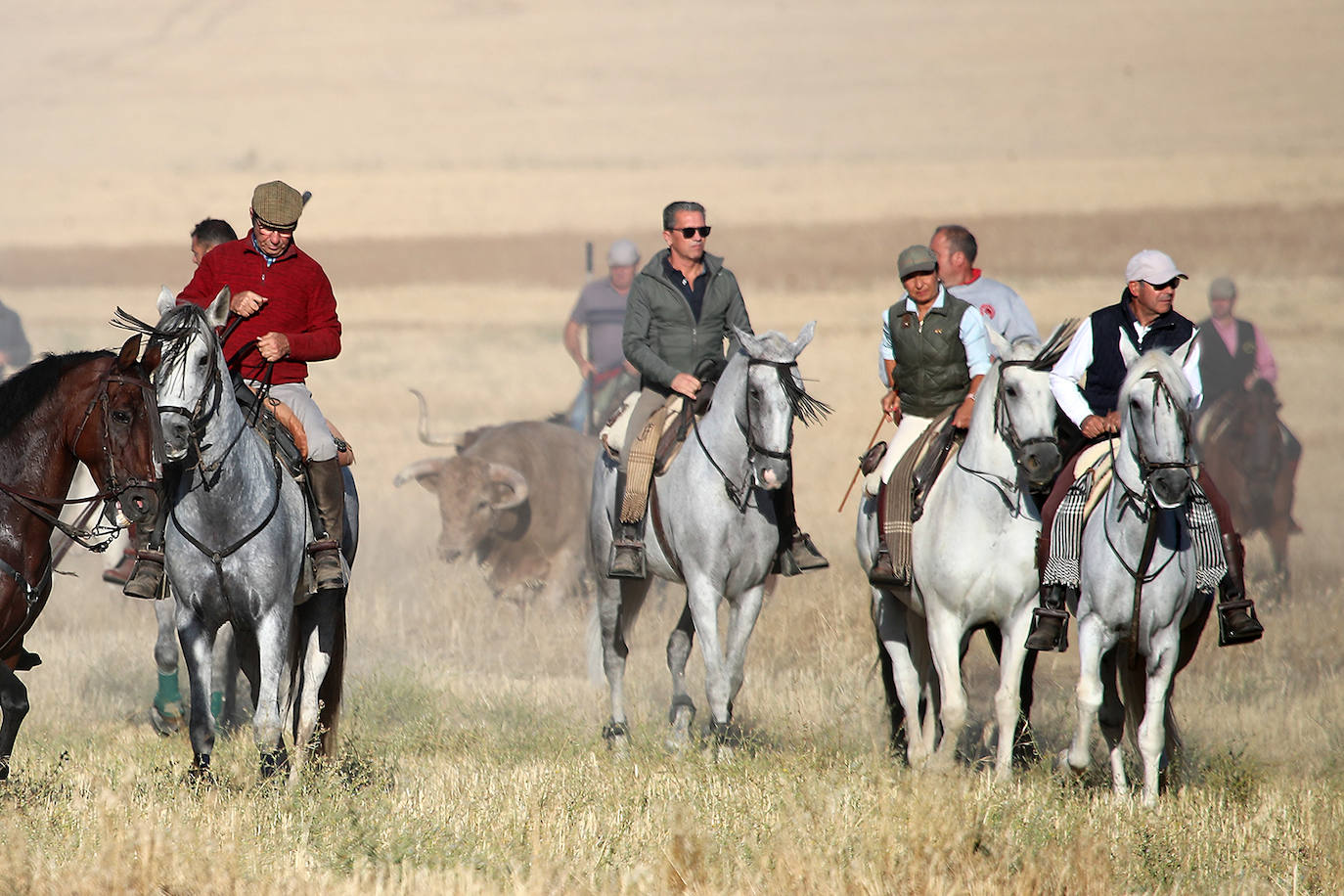 Fotos: Tercer encierro en las fiestas de San Antolín de Medina del Campo