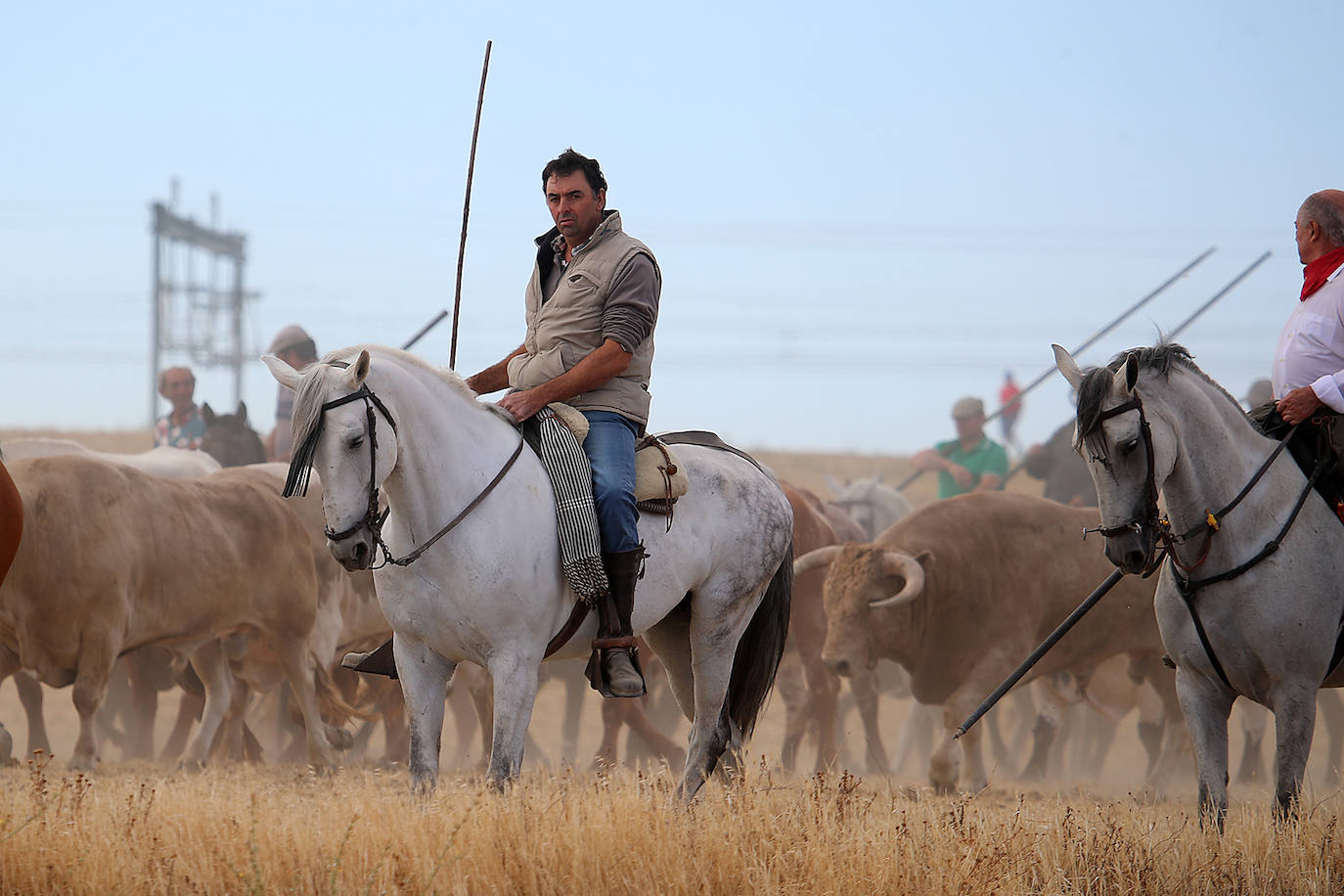 Fotos: Tercer encierro en las fiestas de San Antolín de Medina del Campo
