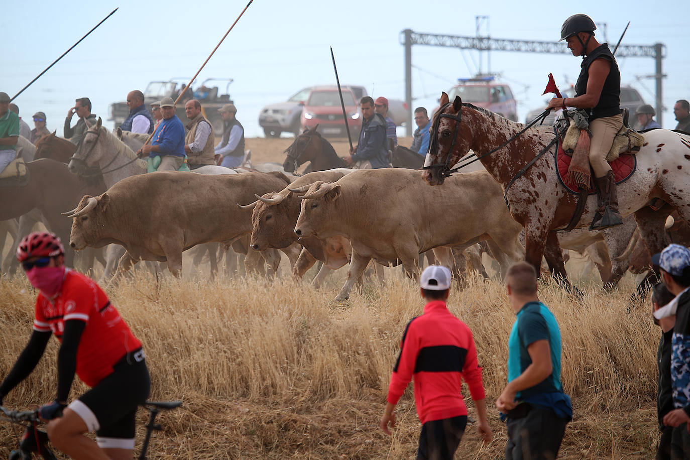 Fotos: Tercer encierro en las fiestas de San Antolín de Medina del Campo