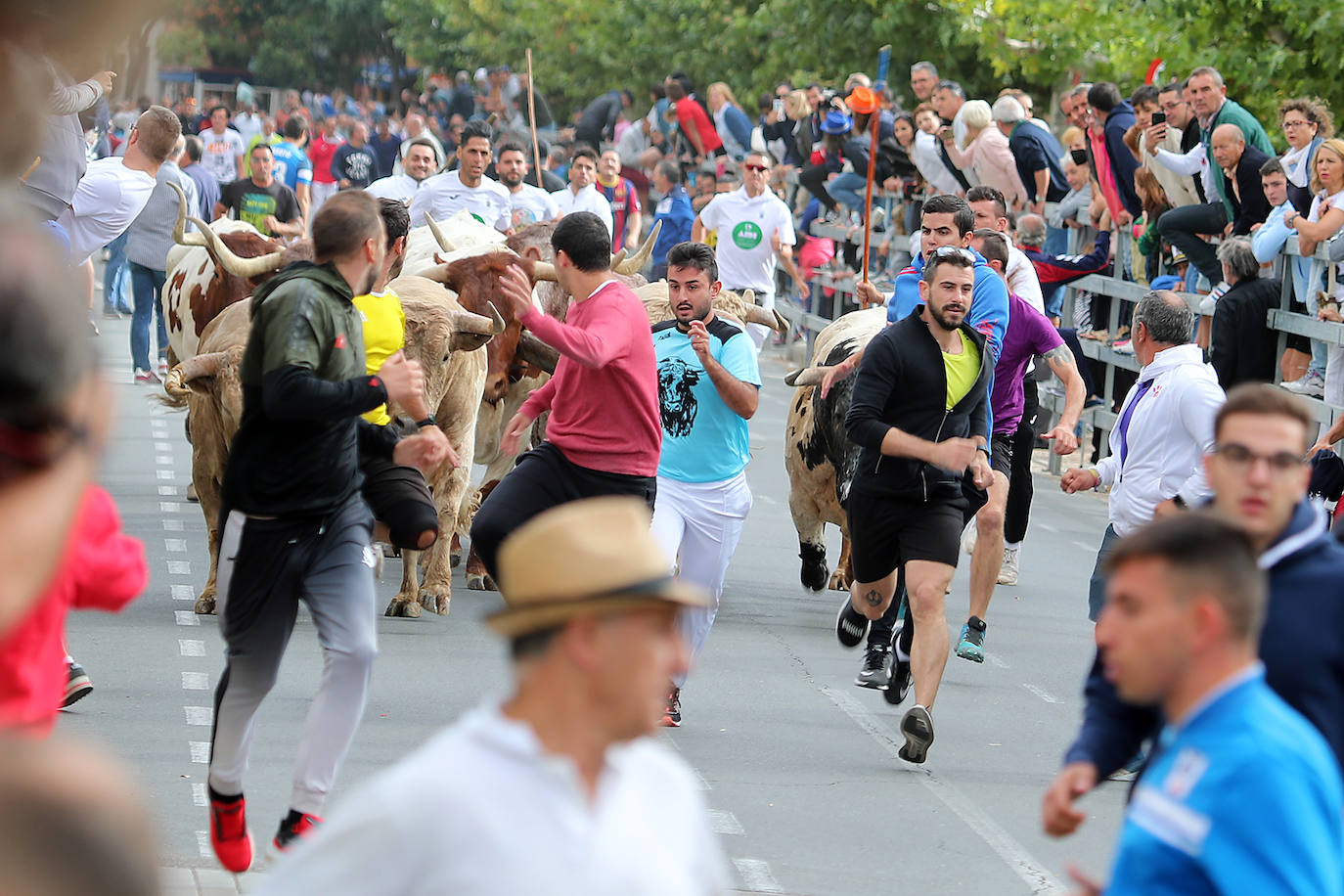Fotos: Tercer encierro en las fiestas de San Antolín de Medina del Campo