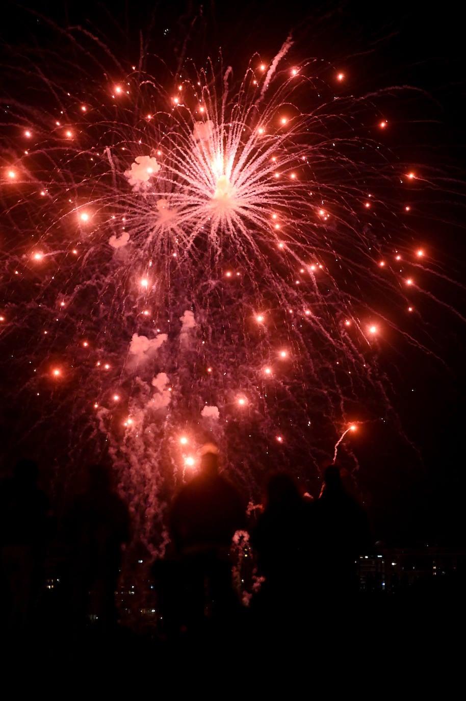 Fotos: Los fuegos artificiales del miécoles, en imágenes