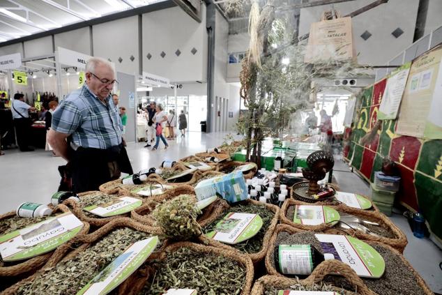 Fotos: Las miradas se centran en cada exposición de la Feria de Muestras