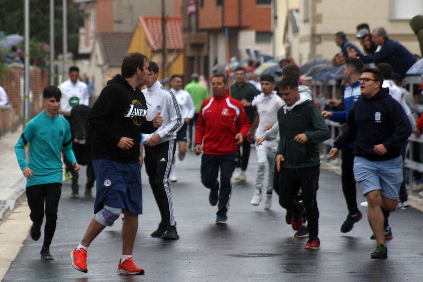 Fotos: Último encierro de las fiestas de San Antolín de Medina del Campo, en imágenes