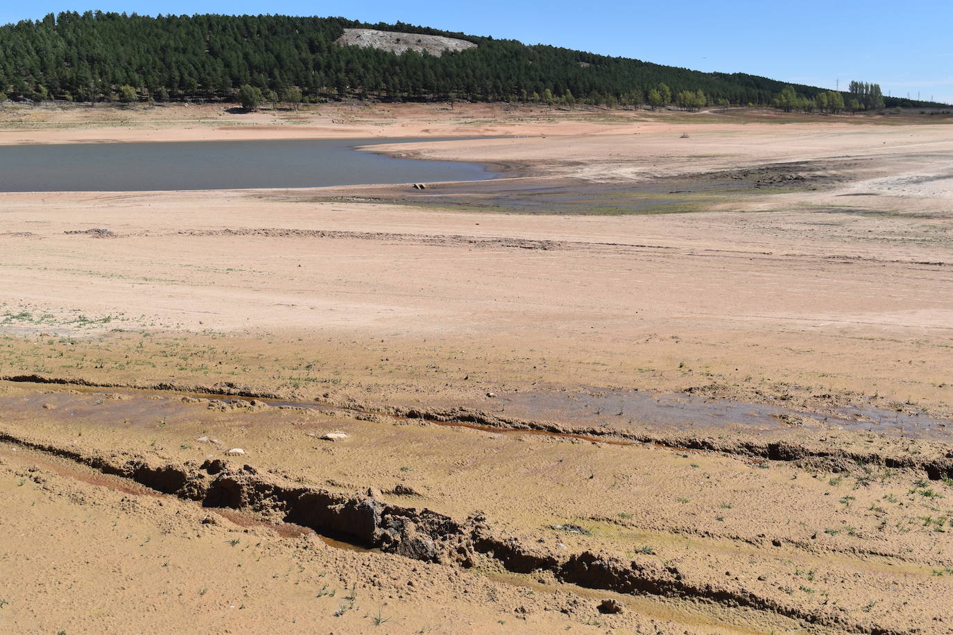 La información hidrológica de la provincia de Palencia se vuelve cada día más dramática.