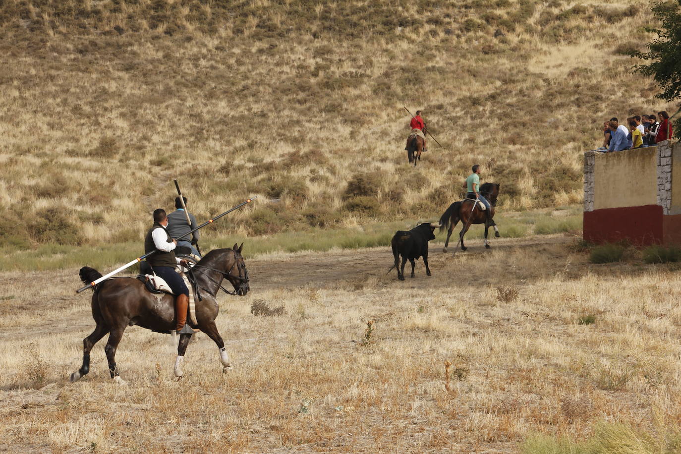 Fotos: Encierro mixto en Portillo (2/2)