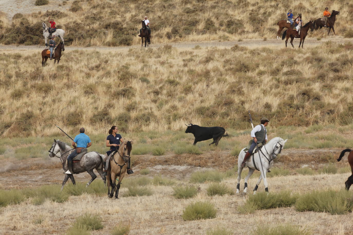 Fotos: Encierro mixto en Portillo (2/2)