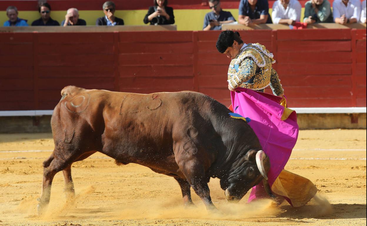 El Juli, en una de las chicuelinas que ofreció a los tendidos en Palencia.