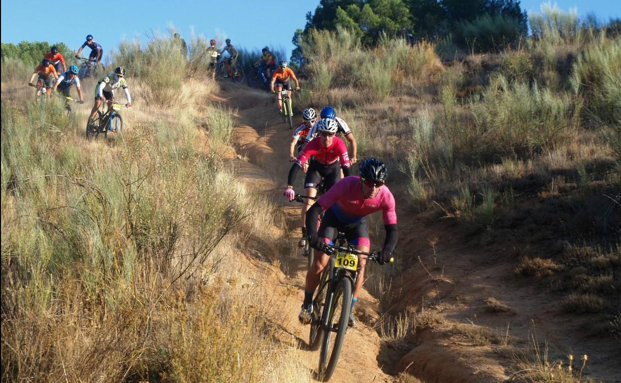 Marcha BTT de la prueba del Piñón Race. 