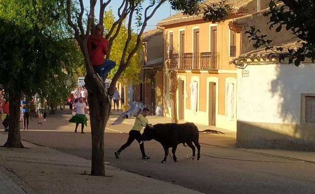 Un momento del evento taruino por las calles de la localidad.