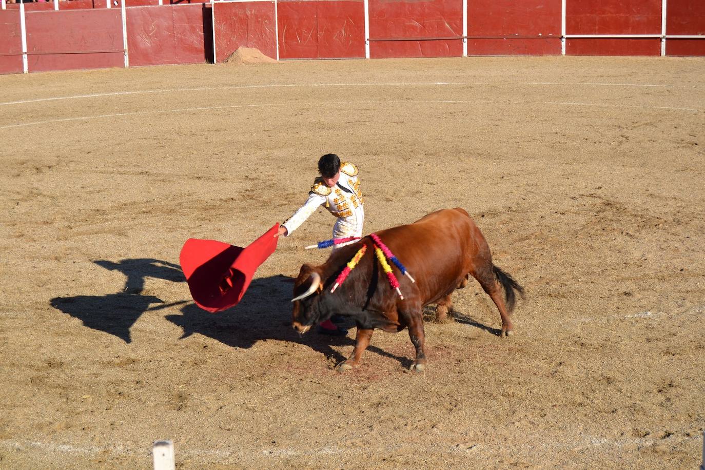 Fotos: Animadas fiestas de la Santa Cruz en Astudillo