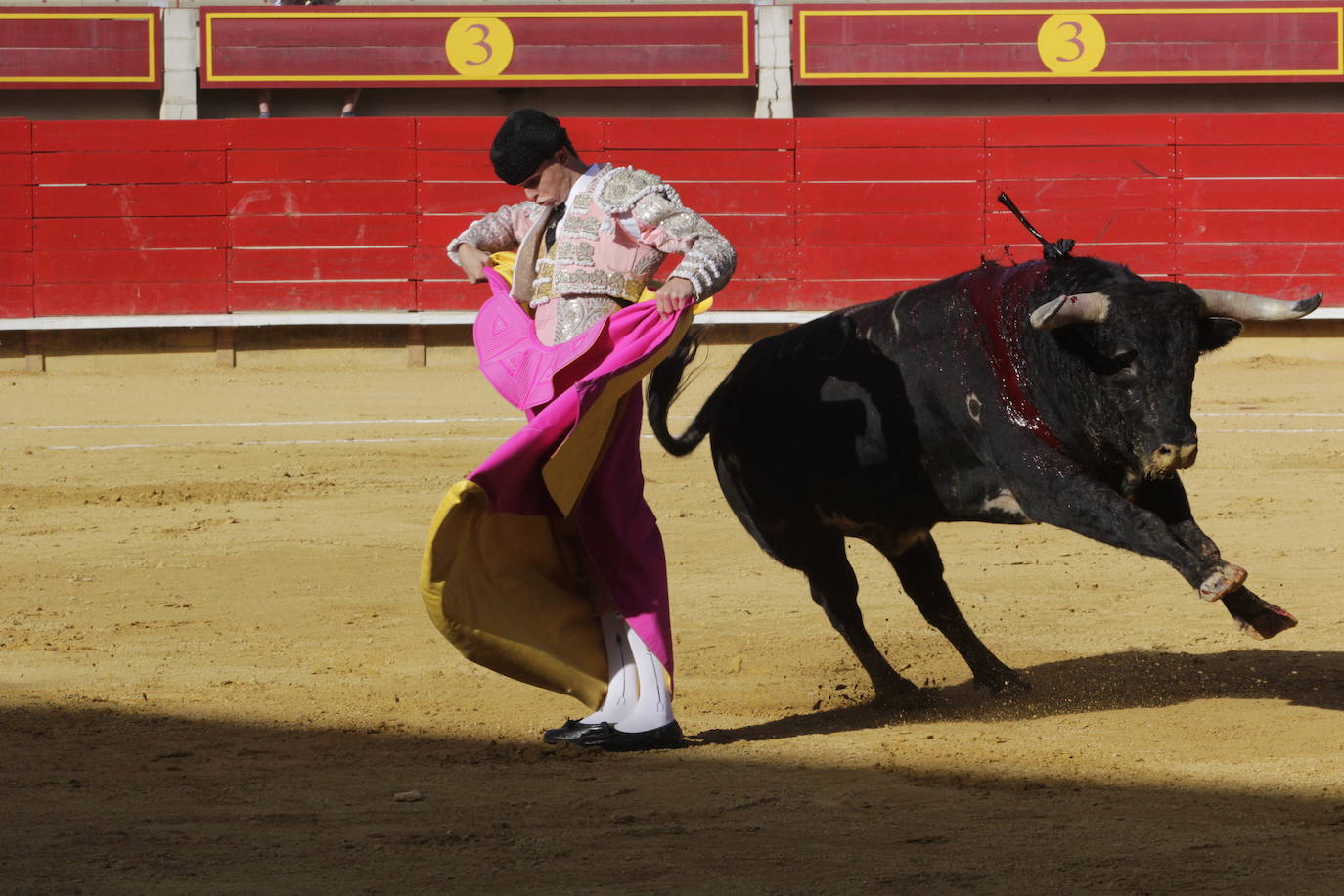 Fotos: Encierro y novillada en Laguna de Duero durante la jornada del domingo