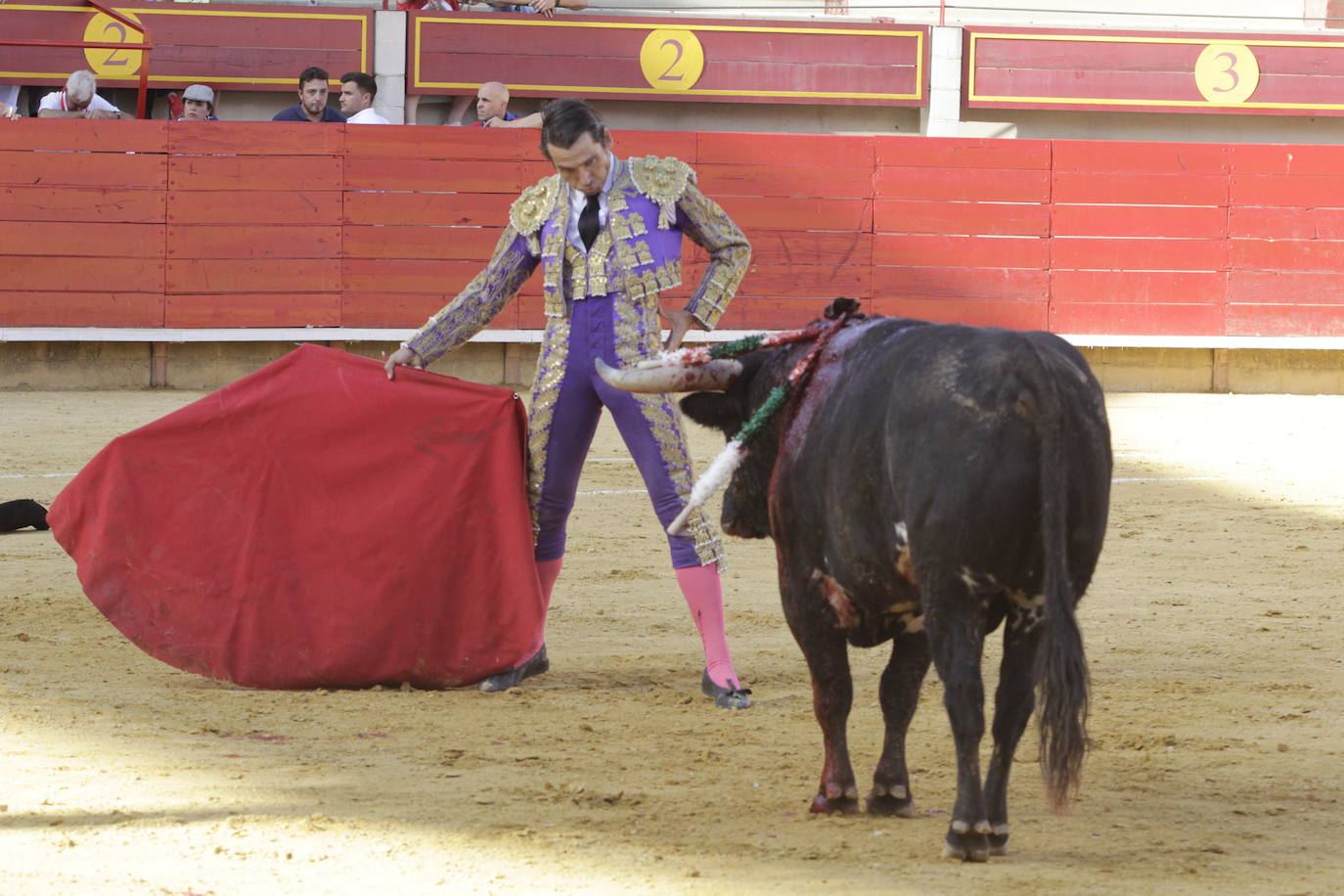 Fotos: Encierro y novillada en Laguna de Duero durante la jornada del domingo