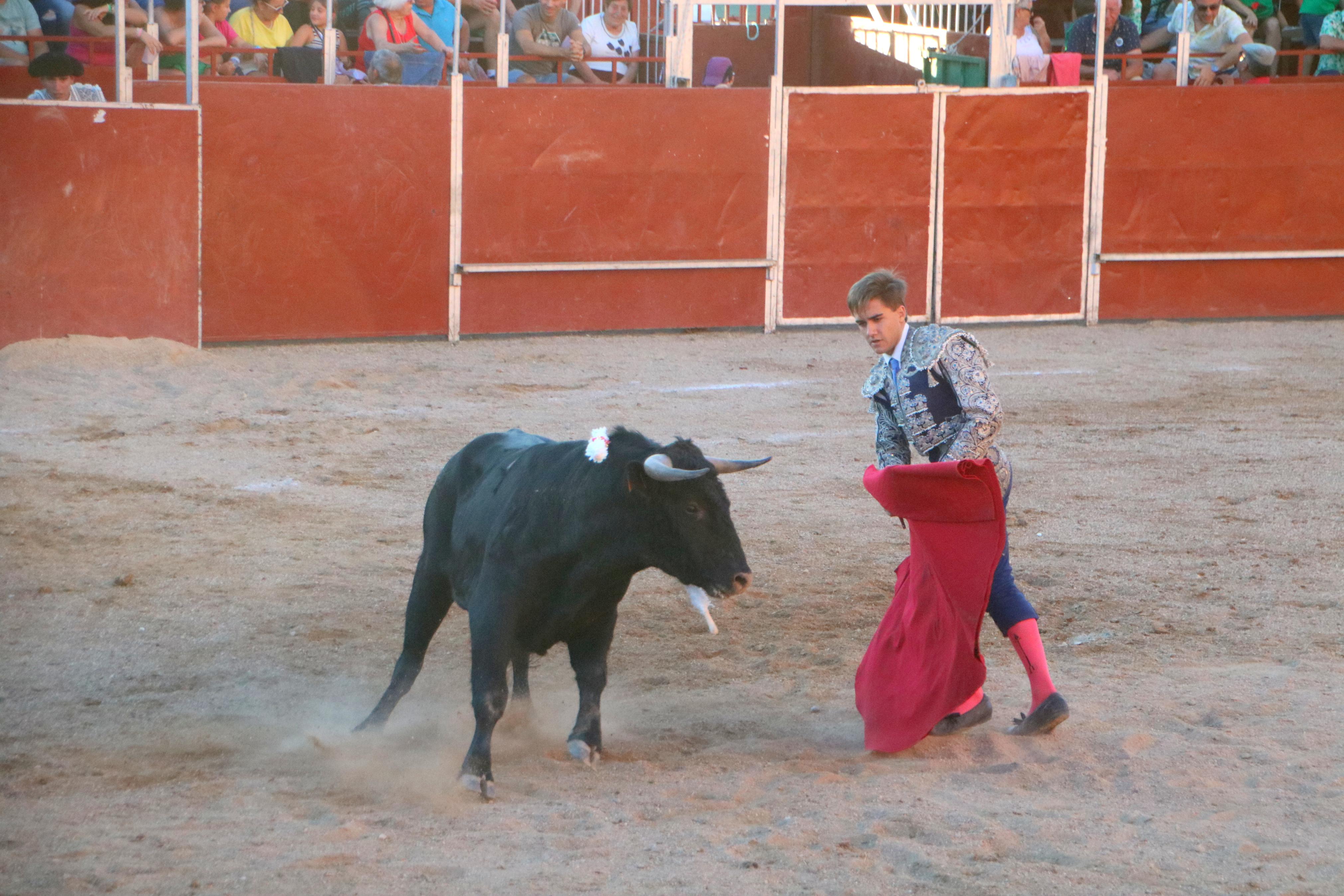 Baltanás celebra unos animados festejos taurinos con motivo de sus fiestas de la Virgen de Revilla