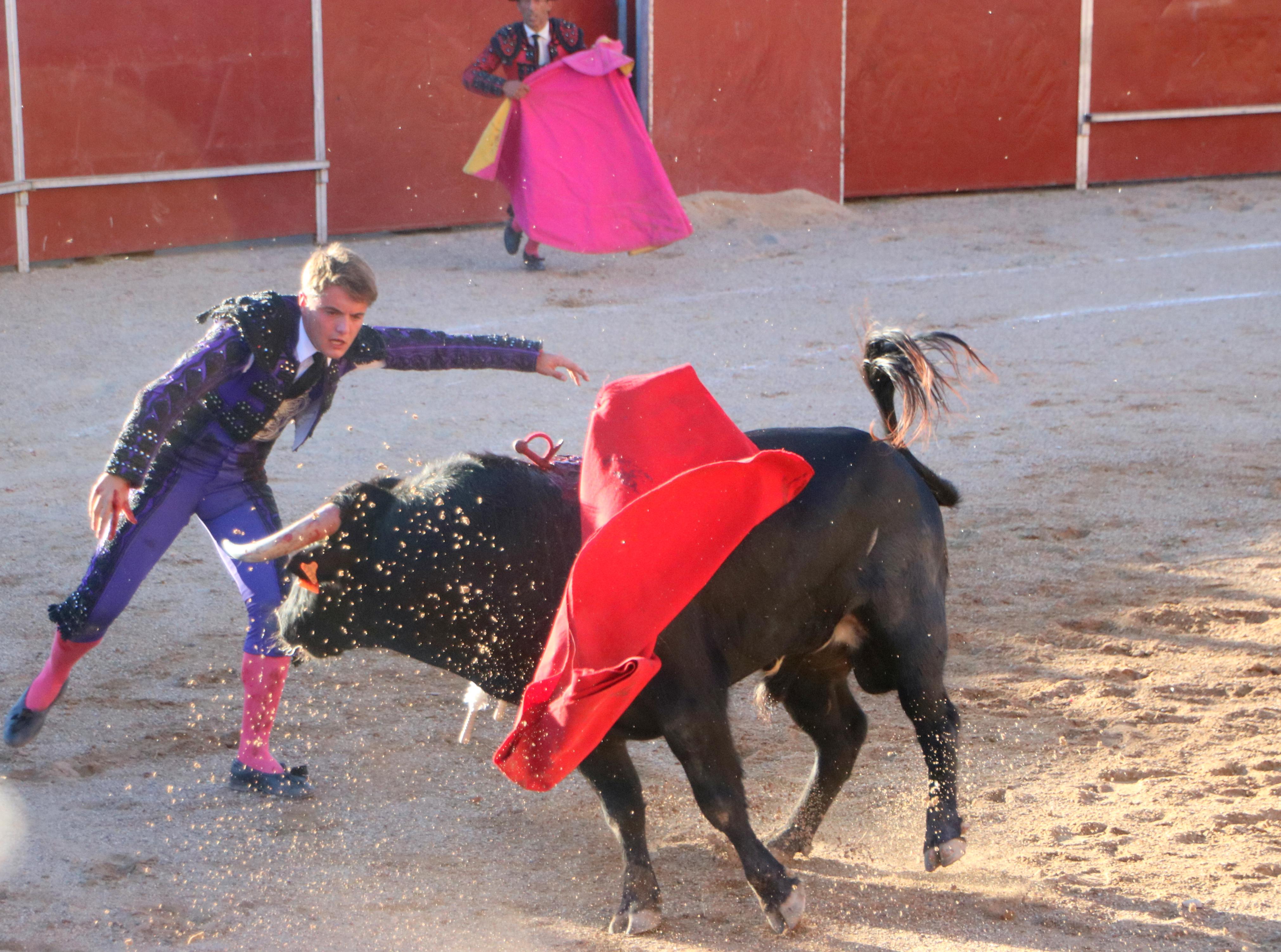 Baltanás celebra unos animados festejos taurinos con motivo de sus fiestas de la Virgen de Revilla