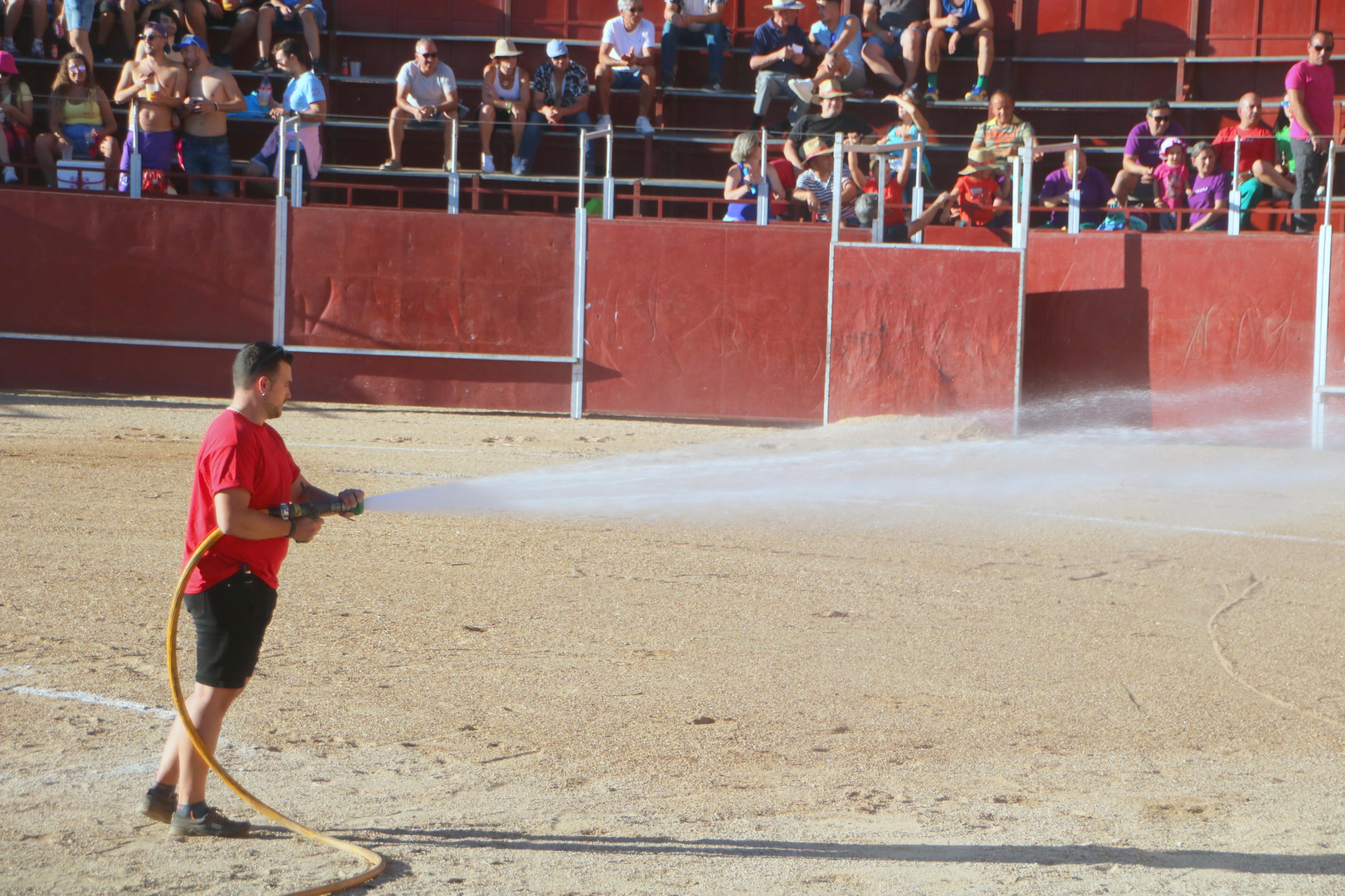 Baltanás celebra unos animados festejos taurinos con motivo de sus fiestas de la Virgen de Revilla