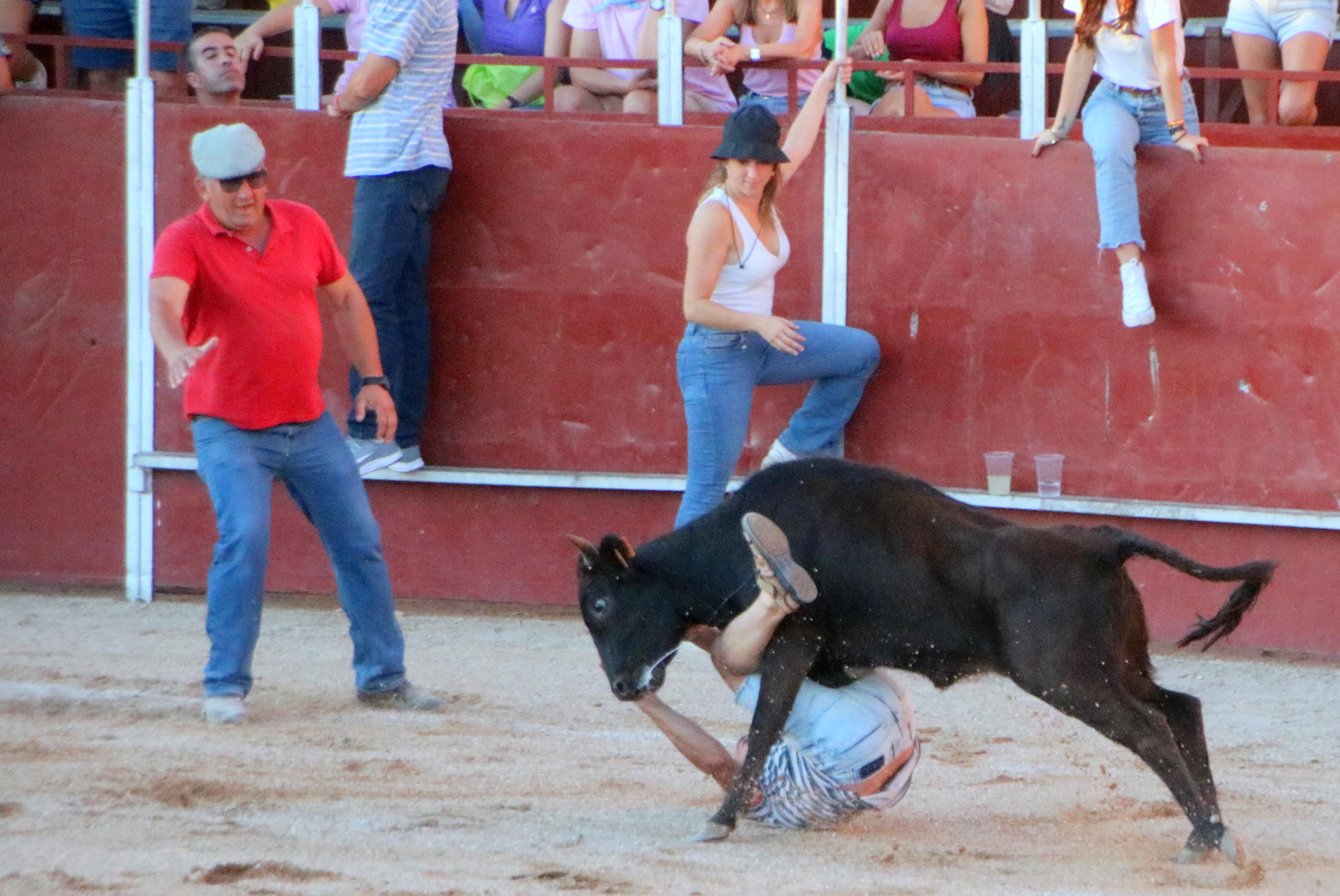 Baltanás celebra unos animados festejos taurinos con motivo de sus fiestas de la Virgen de Revilla