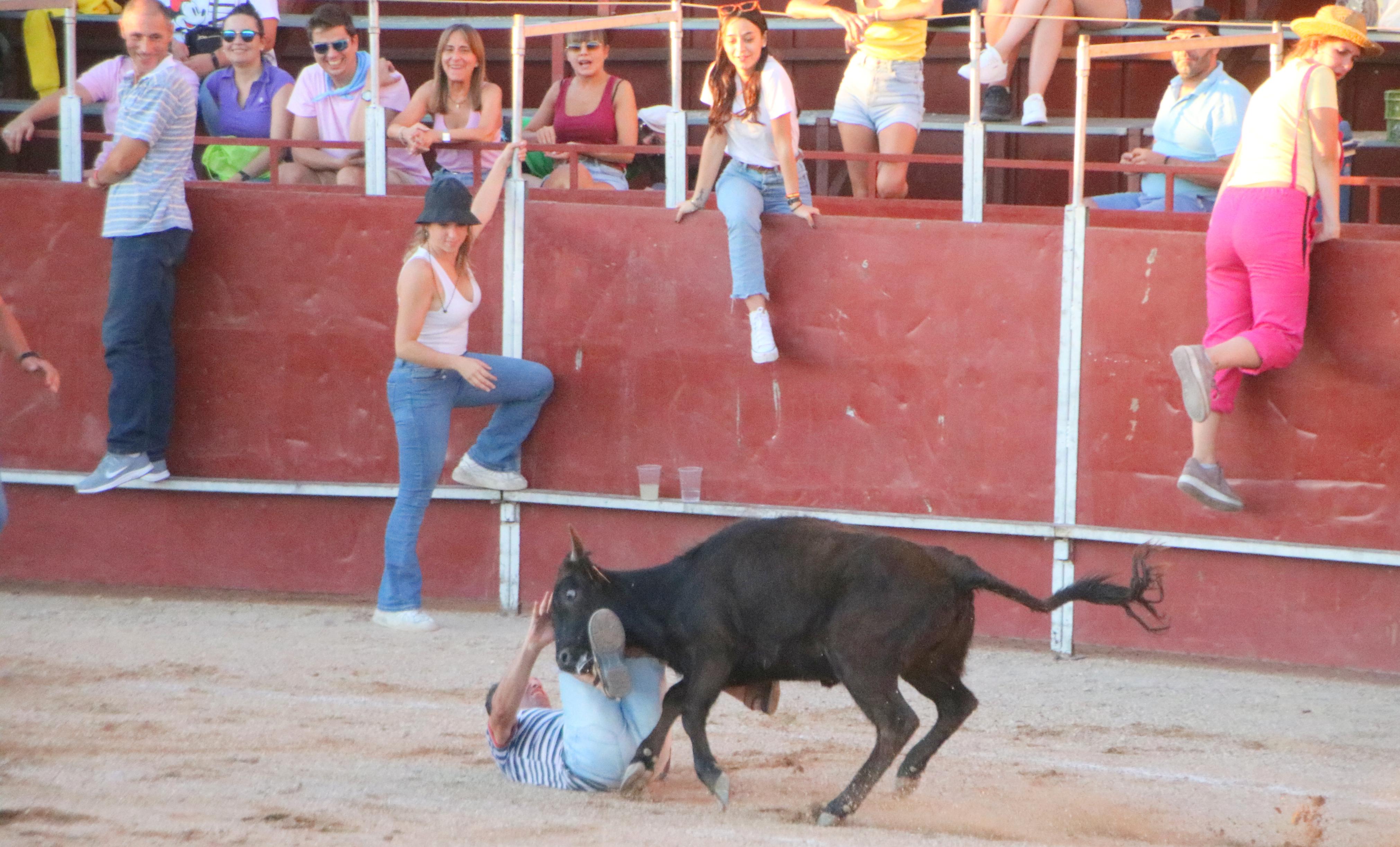 Baltanás celebra unos animados festejos taurinos con motivo de sus fiestas de la Virgen de Revilla