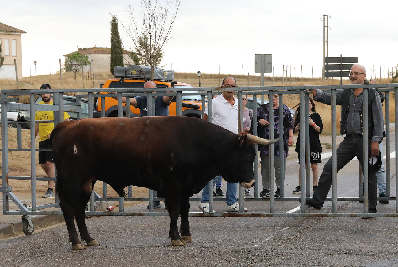 Fotos: Astudillo celebra el Toro del Pueblo