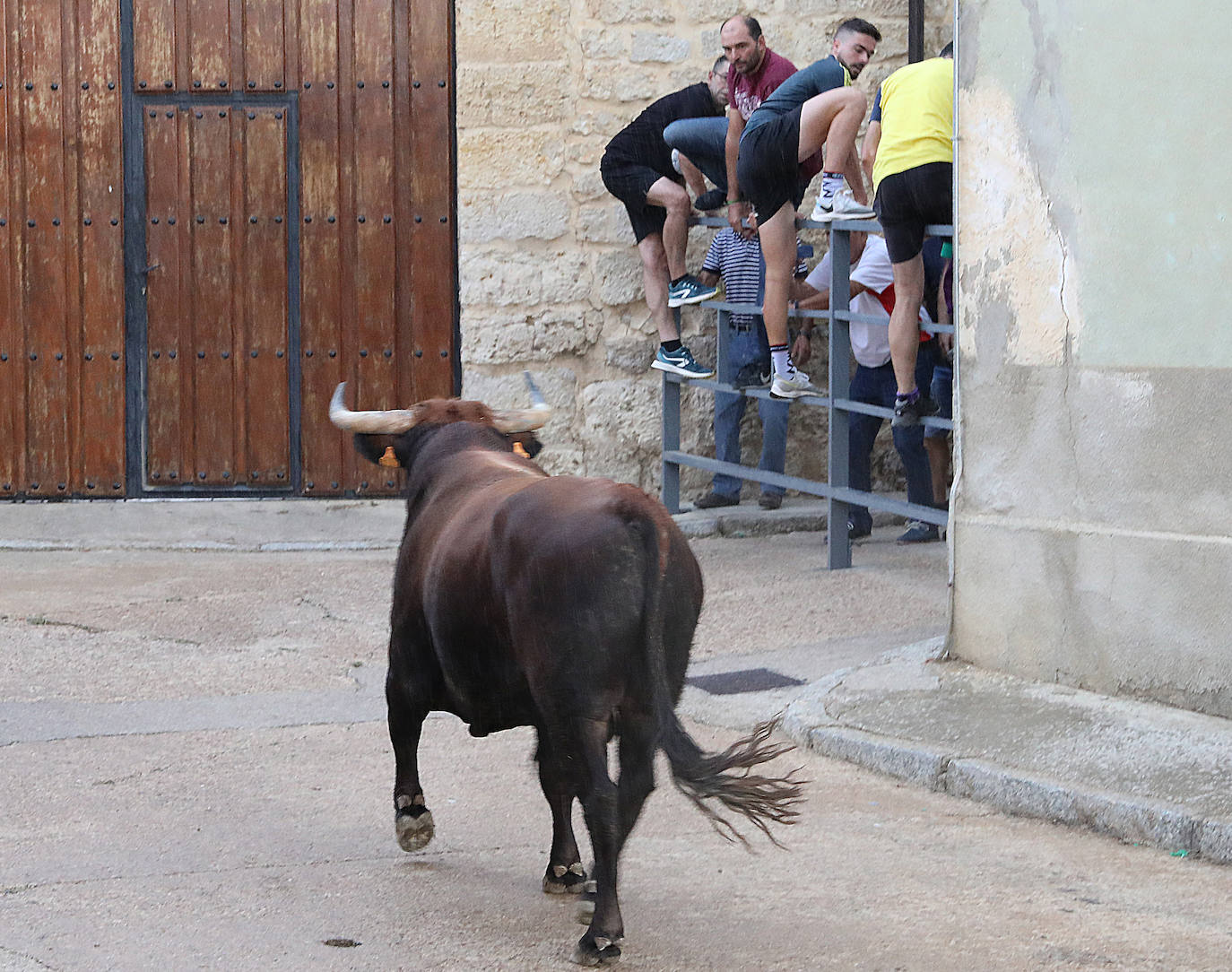 Fotos: Astudillo celebra el Toro del Pueblo