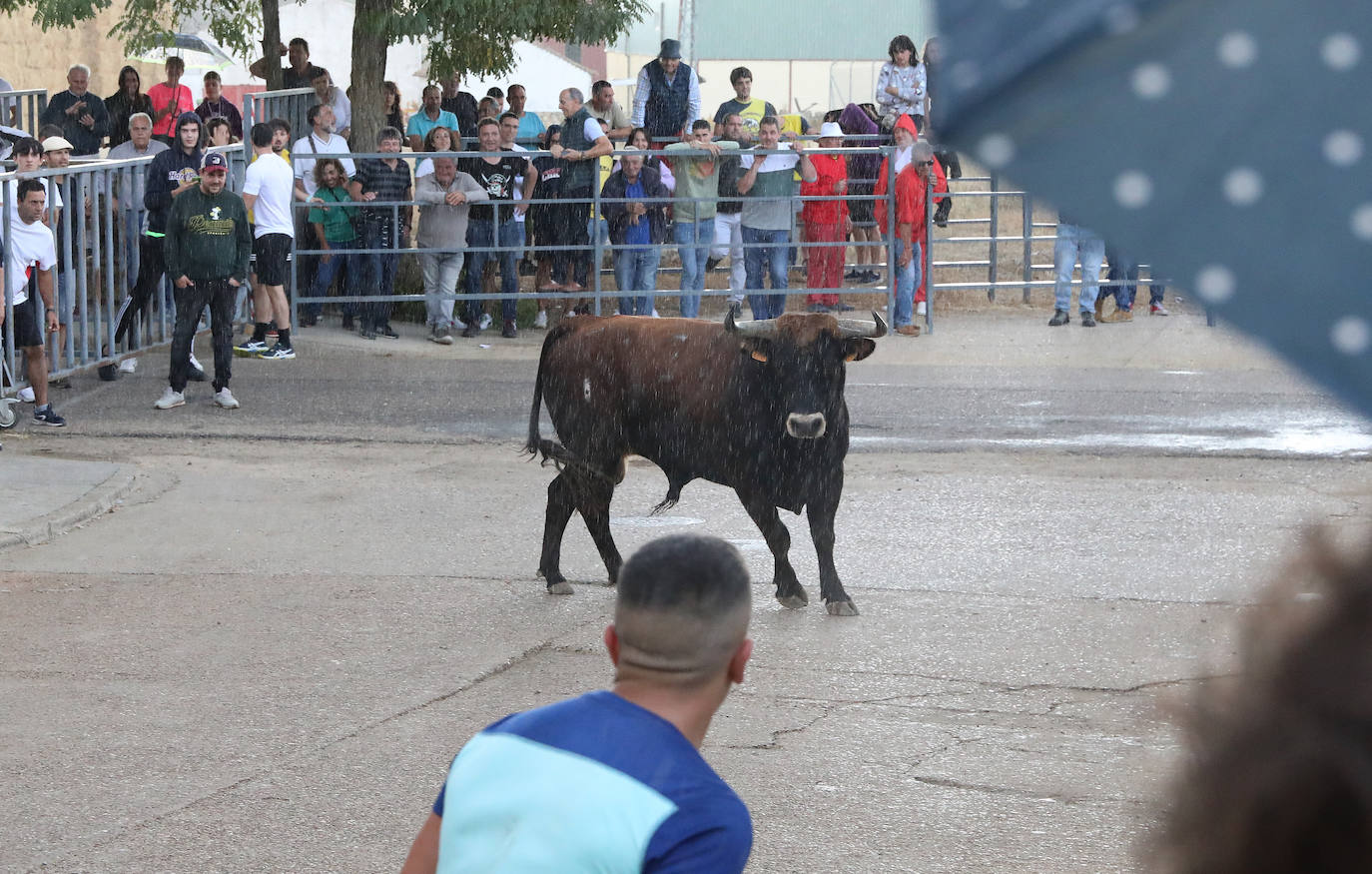 Fotos: Astudillo celebra el Toro del Pueblo