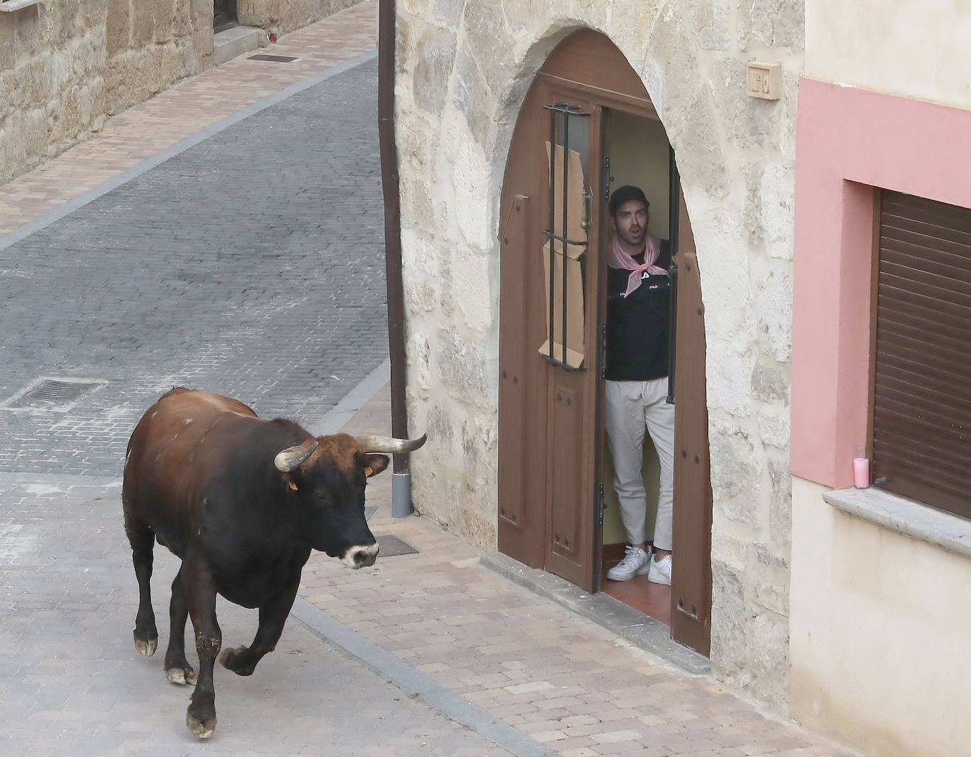 Fotos: Astudillo celebra el Toro del Pueblo