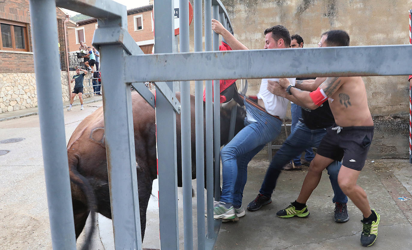 Fotos: Astudillo celebra el Toro del Pueblo