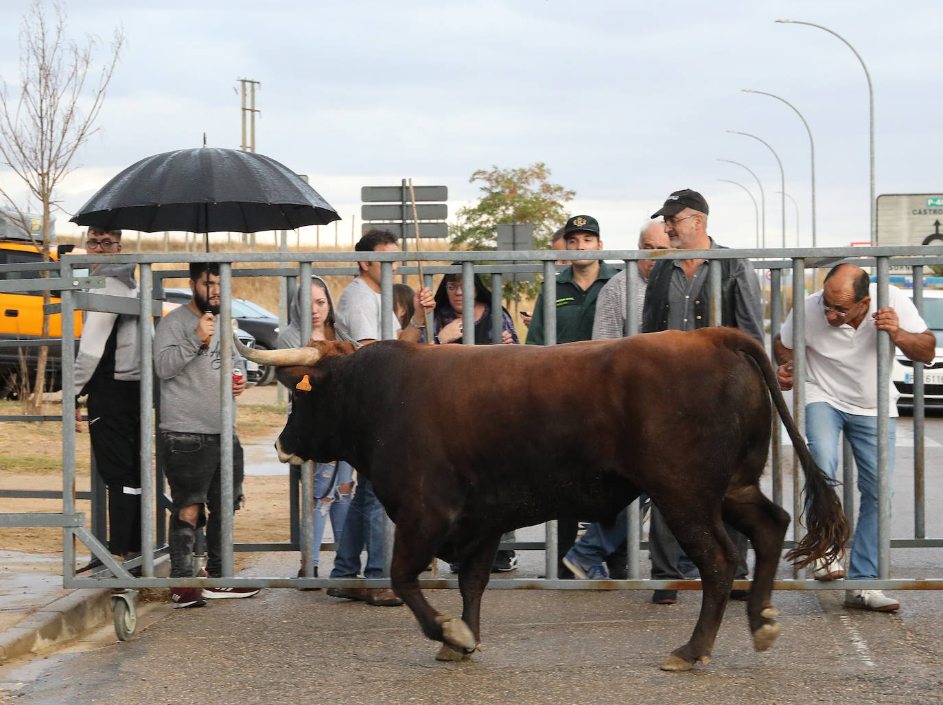 Fotos: Astudillo celebra el Toro del Pueblo