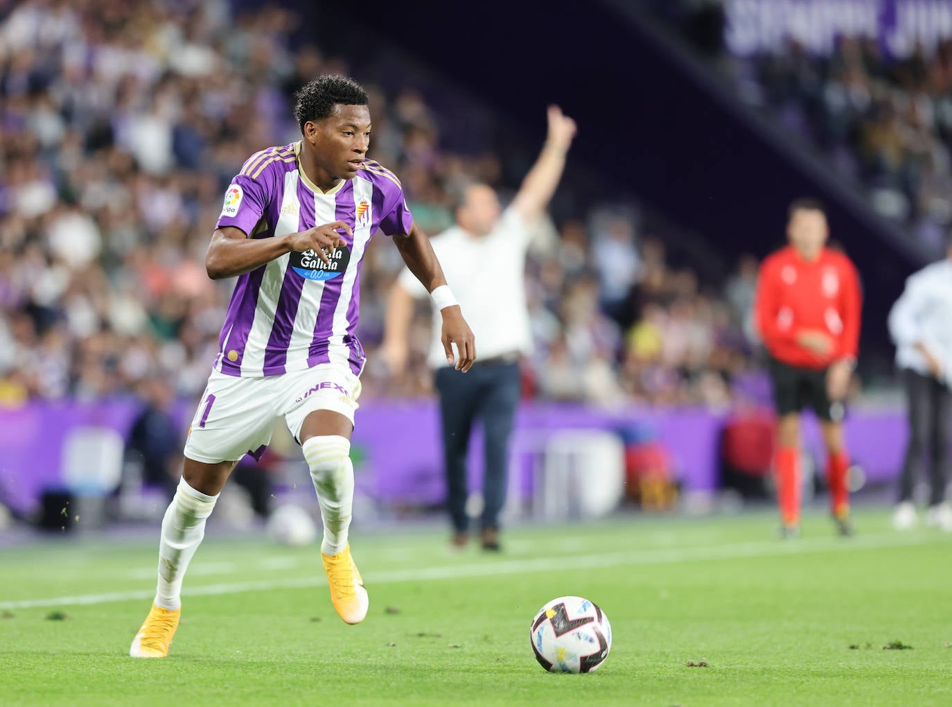 El Real Valladolid cae en casa ante el Cádiz (0-1).