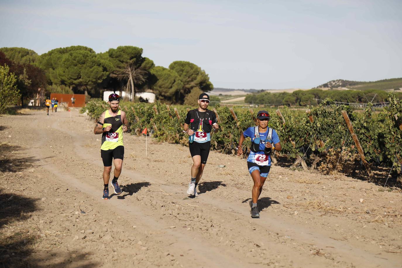 Fotos: Ribera Run Experience une deporte con historia, cultura y enoturismo en Peñafiel