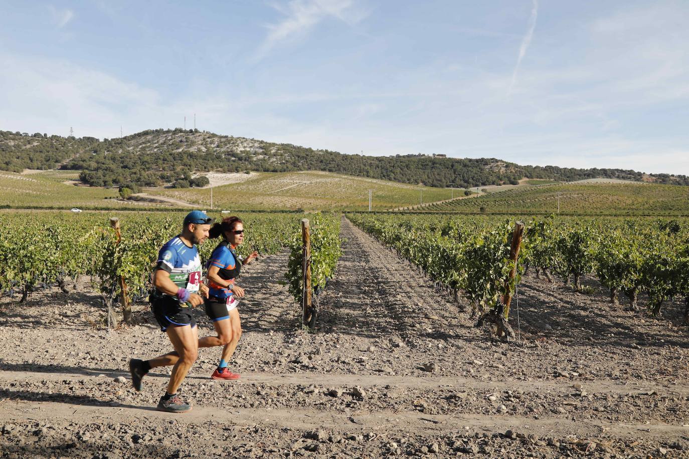 Fotos: Ribera Run Experience une deporte con historia, cultura y enoturismo en Peñafiel