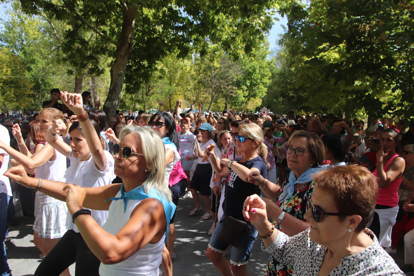 Miles de personas, este domingo en la romería de la Virgen del Henar.