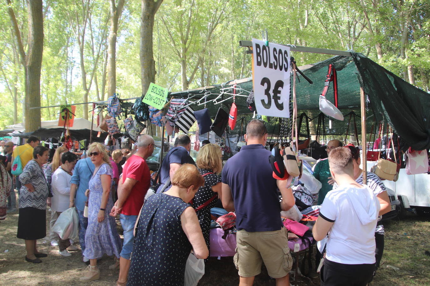 Miles de personas, este domingo en la romería de la Virgen del Henar.
