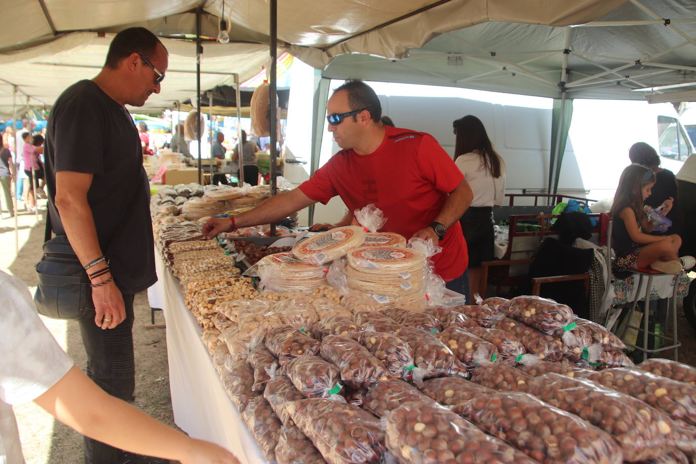 Miles de personas, este domingo en la romería de la Virgen del Henar.