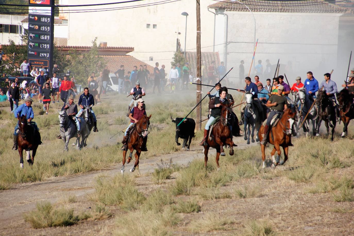 Fotos: Las fiestas de Portillo se despiden con el último encierro mixto