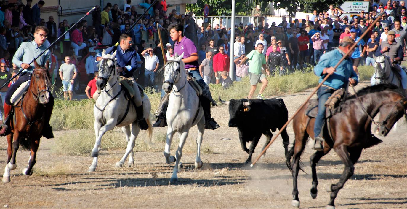 Fotos: Las fiestas de Portillo se despiden con el último encierro mixto