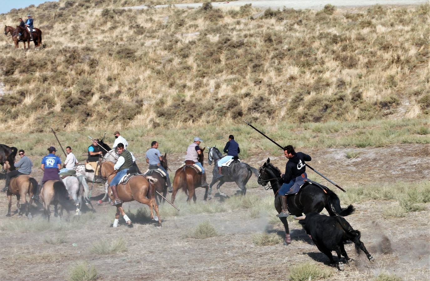 Fotos: Las fiestas de Portillo se despiden con el último encierro mixto