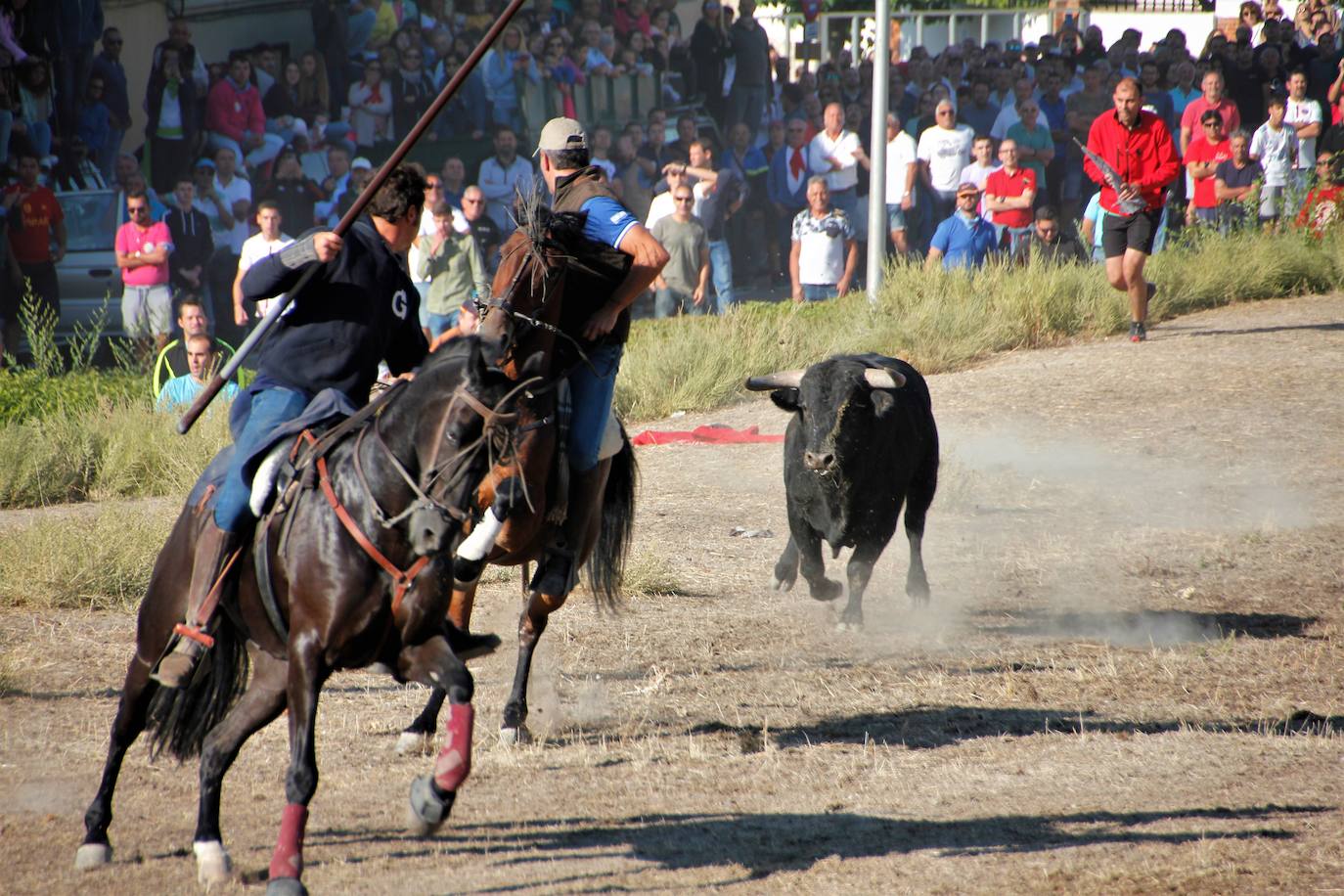 Fotos: Las fiestas de Portillo se despiden con el último encierro mixto